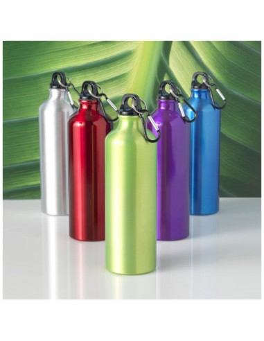 Zakelijke aluminium flessen